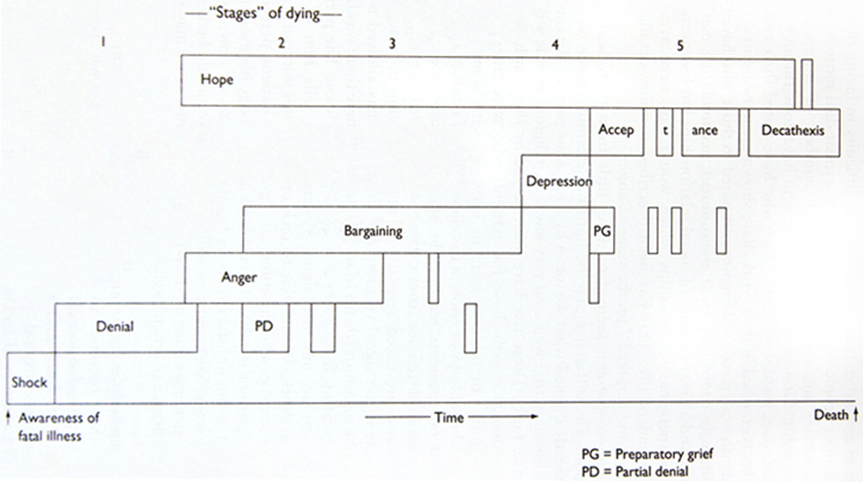 seven stages of grief death