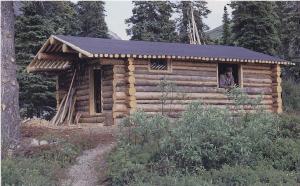 cabin in assembly