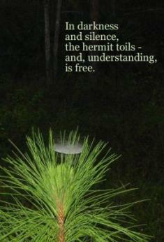haiga